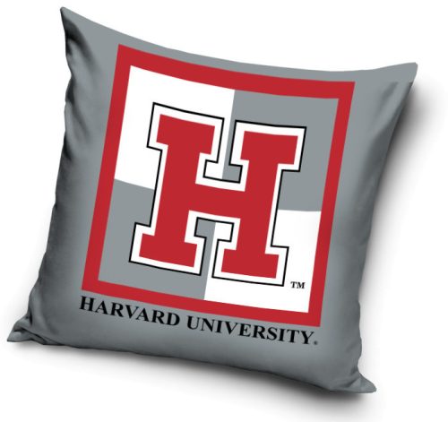 Harvard párnahuzat 40*40 cm